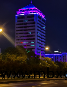 威海(hai)衞(wei)生大(da)廈亱景(jing)亮(liang)化(hua)